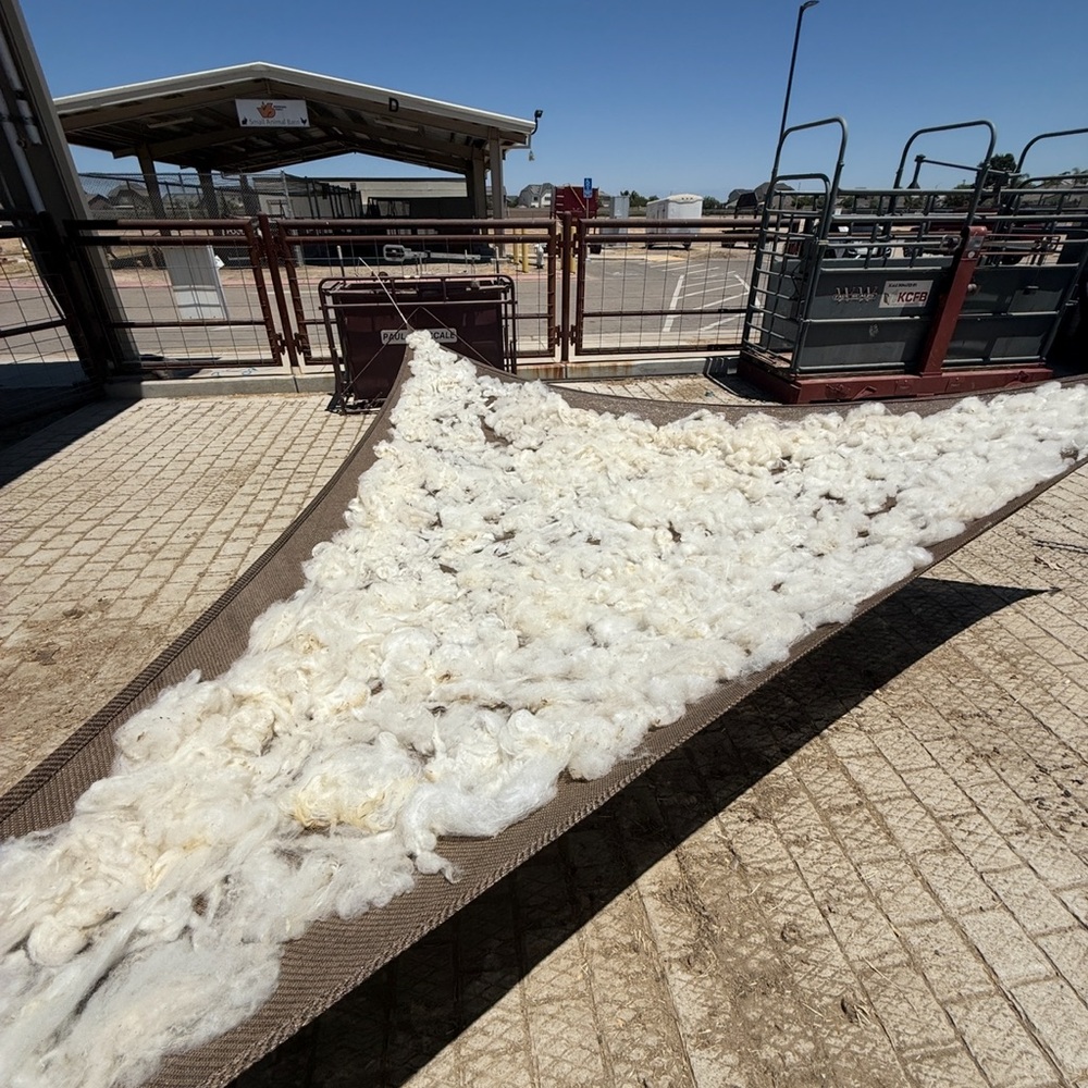 White Wool Roving - Picture 5 of 6